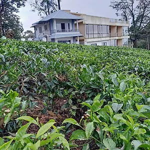 Resort The Nirvana, Munnar