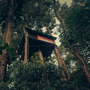 Station touristique Ela Ecoland Nature Retreat, Munnar