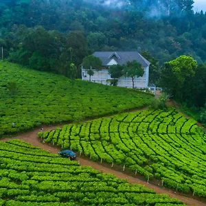 Отель Tea Harvester, Муннар